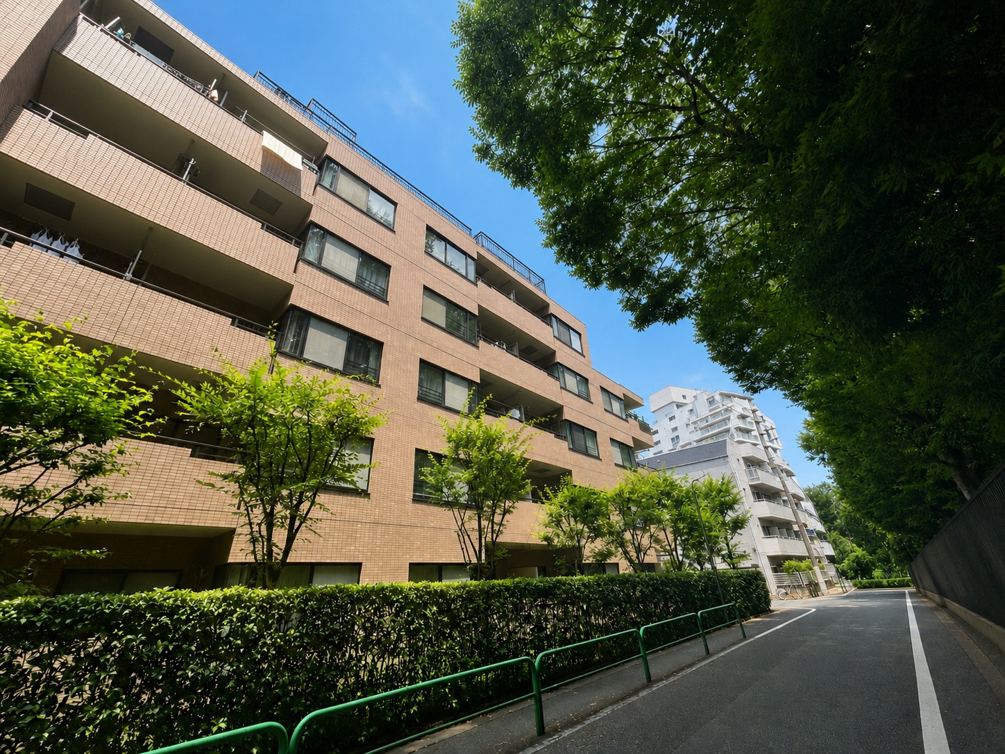 メイツ新桜台